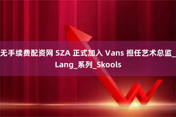 无手续费配资网 SZA 正式加入 Vans 担任艺术总监_Lang_系列_Skools